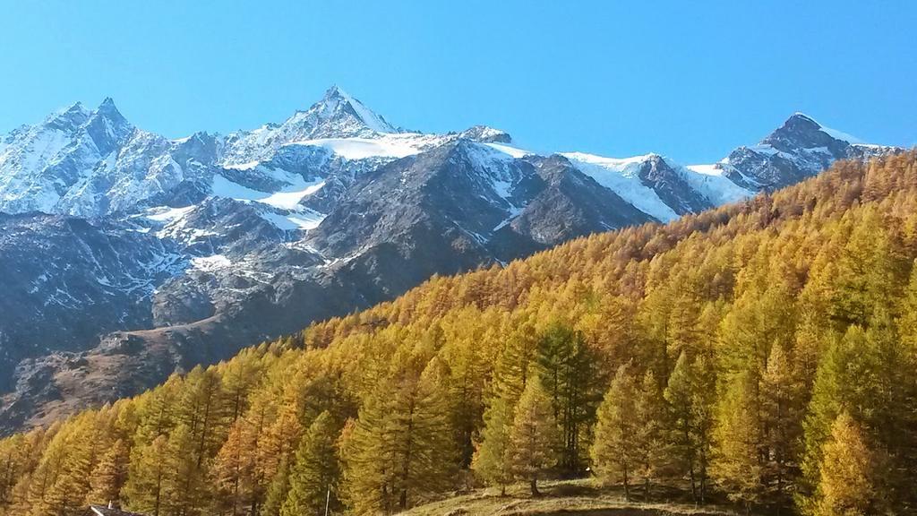 Ferienhaus Antigua Saas-Grund Esterno foto